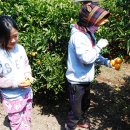 주화농장 이미지