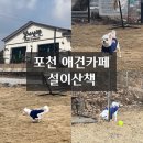 설이산책 | [경기도 포천/애견카페추천] 뛰어놀기 좋은 애견카페 '설이산책' 후기, 넓은 천연잔디 애견운동장
