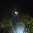 영등근린공원 이미지