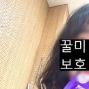 꿀미' 이미지