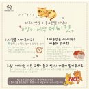 3839 | 대전 고양이 보호자 동반 미용 ~ 페르시안캣 고양이 미용실