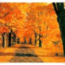 도봉-도봉-2525 이미지