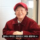 호롤롤로 이미지
