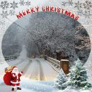 퇴촌 낭만펜션 이미지