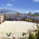 대전석교초등학교 이미지