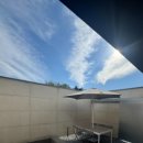 스테이 경화 이미지