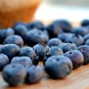 깊은샘블루베리농장 이미지