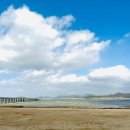 금송식육식당 이미지