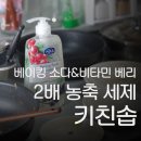 동그리솝 이미지