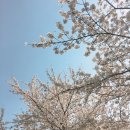 동구리 저수지 위 공원 이미지