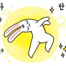돼지보쓰 이미지