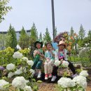 5월-영유아-전주 정원산업박람회 이미지