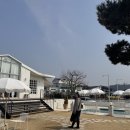 [안산/대부도] 유럽 키친 감성이 물씬 느껴지는 대부도 오션 뷰 카페&#34;HUA HUA 후아후아&#34; 후기