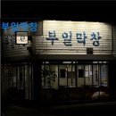 1293 | 대구 막창 곱창 맛집 추천정보 부일막창 부일막창, 신선한 곱창 맛집