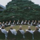 솔밭 1994 이미지