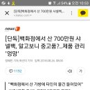 [단독]백화점에서 산 700만원 샤넬백, 알고보니 중고품?..제품 관리 '엉망' 이미지