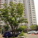 세화로168번길 이미지