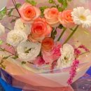 젠플라워(Jen flower)