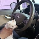 더썬치킨 | [영등포/영등포시장역] 순살파닭 맛집 썬파닭 두마리치킨 영등포점 후기