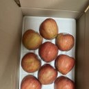 장수우체국 | 🍎 우체국 장수사과 홍로 가정용 흠과 3.5kg 후기 리뷰