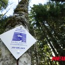 (주)삼림 이미지