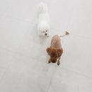 모모호텔 이미지