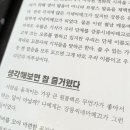 강릉씨네마떼끄 이미지