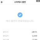 충전_페이코