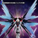 빛이 날개 이미지