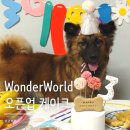우리집 댕댕이 | WonderWorld 오픈업 케이크로 우리집 댕댕이 생일파티 후기:)