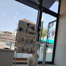 메리 동물병원 이미지