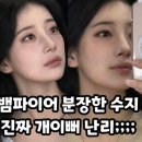 개이뻐 이미지