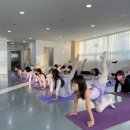 초등 발레 이미지