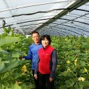 처음농장 이미지