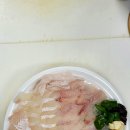 회조아 이미지
