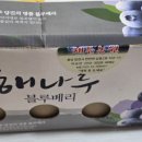 해든농원