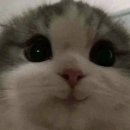 글로웍스 이미지