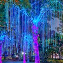 활기체육공원 | 계양 빛축제 2025 주차 가는 길 애견동반 위치 등 후기 야경 명소 추천