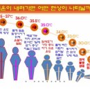 이지점핑체온다이어트