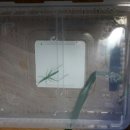 손주들농장 이미지