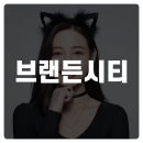 브랜든시티의원 이미지