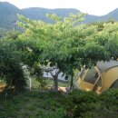 별장민박 이미지