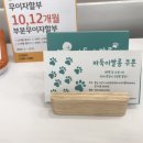 바둑이 쌀롱 이미지