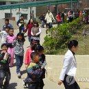 백령초교 이미지