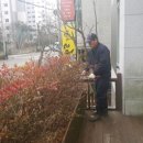 믿음조경청소 이미지