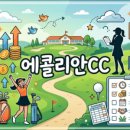 서천군청서천국민체육센터 | 서천 장항항 꼴갑축제 쟁점 비교와 알짜 방문 팁