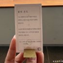 낙동강 뷰와 함께하는 휴식 타임 | 차(Tea) 전문 카페, 김해 차의온도 내돈내먹 후기