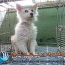 천왕로 이미지