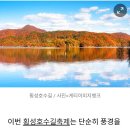 망향공원 버스승강장 옆 | 횡성 호수길 축제