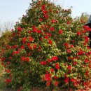 새싹농장 이미지